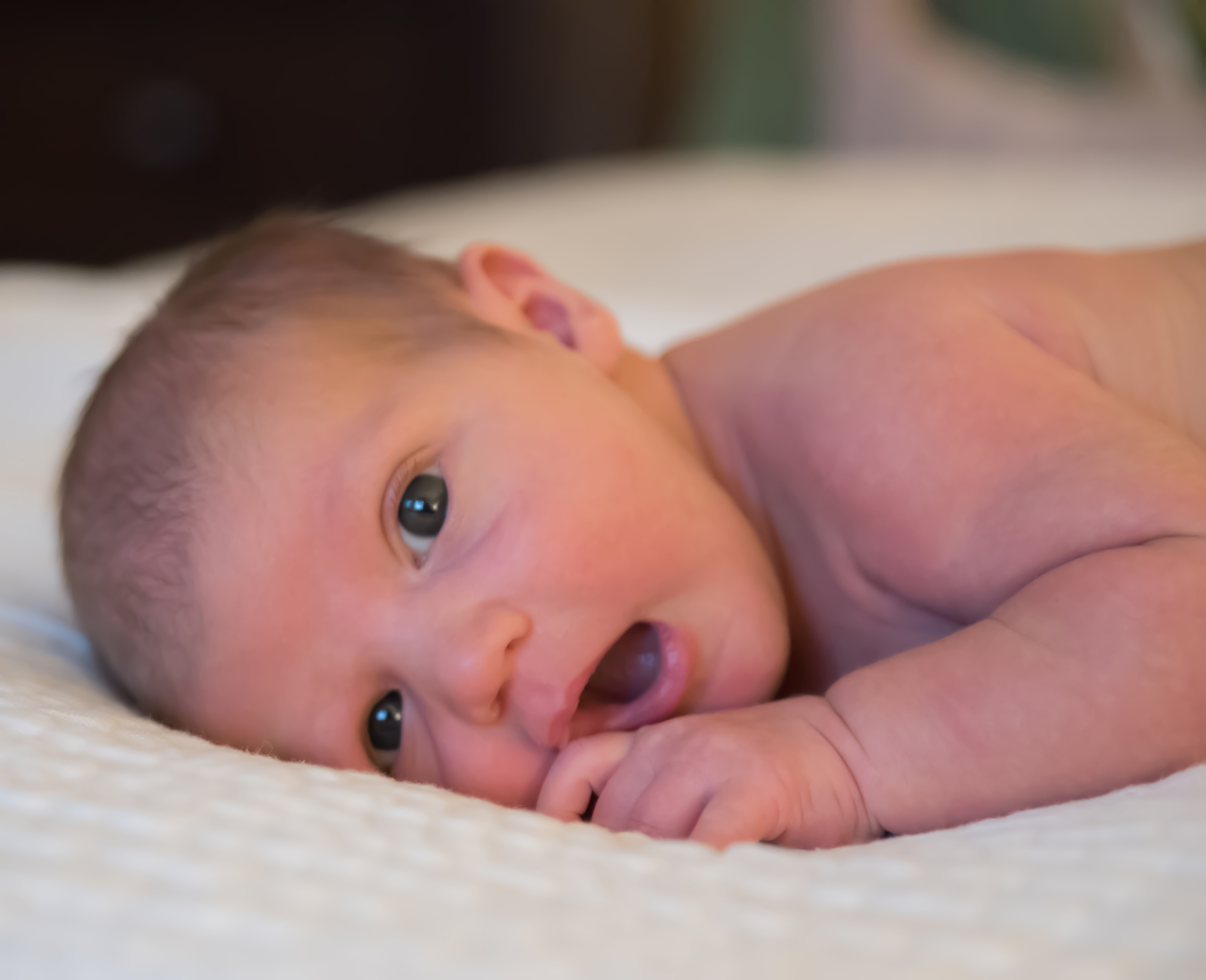 Newborn baby laying on a blanket.