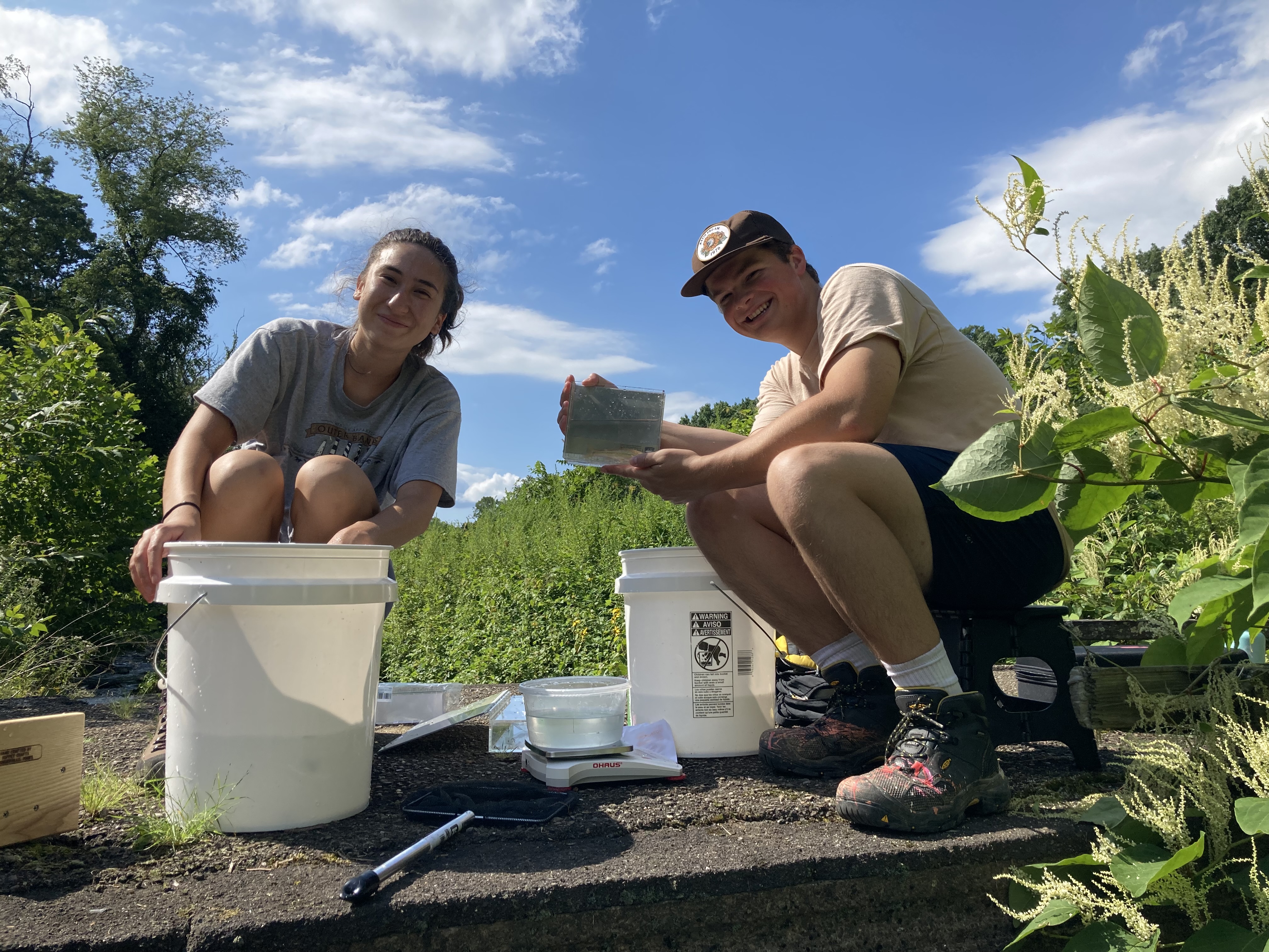 Students doing field research