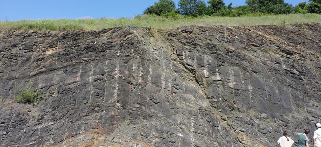 Lock Haven Formation