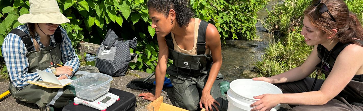 Three students doing field sample testing.